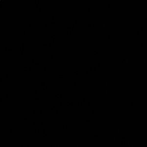 Meet your Posher, Trent